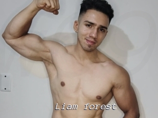 Liam_forest