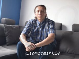 Liamdomink20