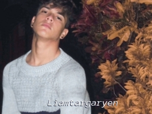 Liamtargaryen
