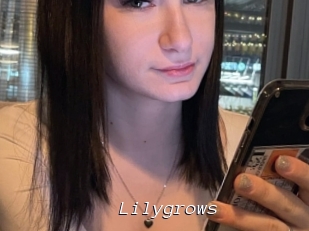 Lilygrows