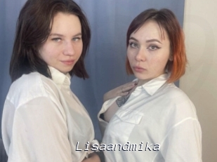 Lisaandmika