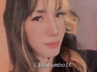 Lisahumbolt
