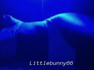 Littlebunny66
