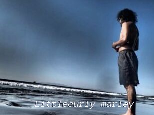 Littlecurly_marley