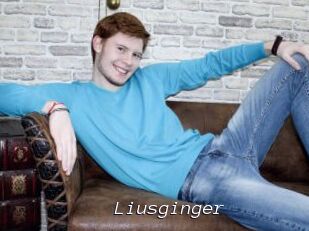 Liusginger