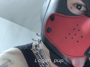 Logan_pup