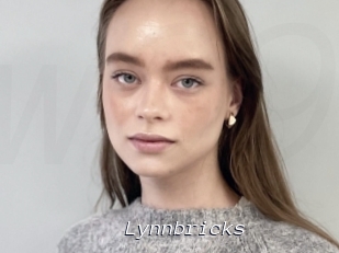 Lynnbricks