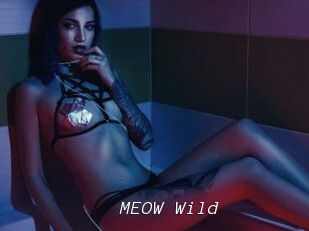 MEOW_Wild