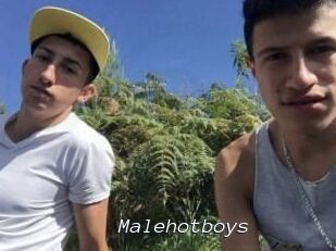Malehotboys