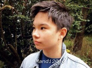 Mandi2013