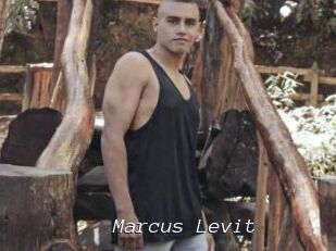 Marcus_Levit