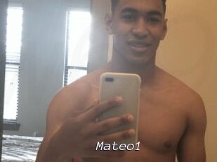 Mateo1