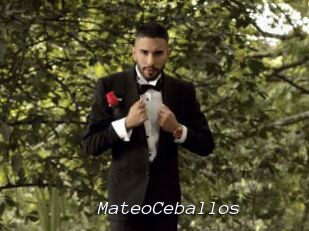MateoCeballos