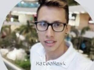 MateoHawk