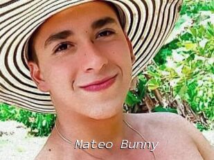 Mateo_Bunny