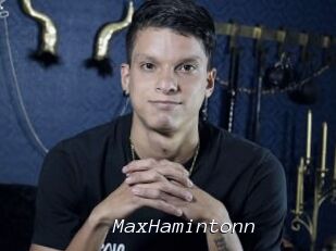 MaxHamintonn