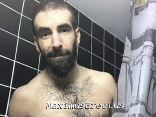 MaximusErectus