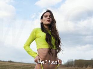 MelisaLi