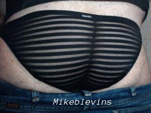 Mikeblevins