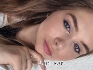 Mini_Kat