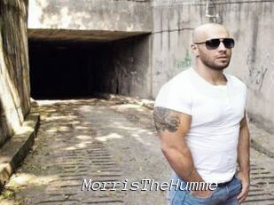 MorrisTheHumme