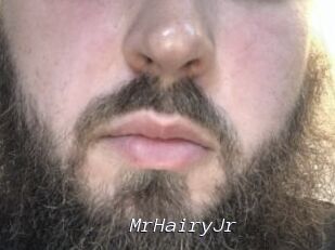 MrHairyJr