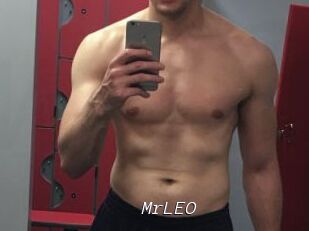 MrLEO