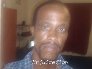 Mrjuiceflow