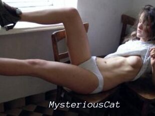 MysteriousCat