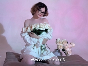 Madisonsoft