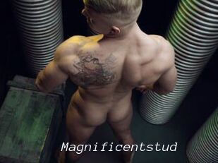 Magnificentstud