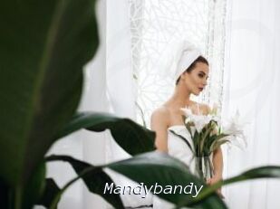 Mandybandy