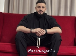 Marcusgale
