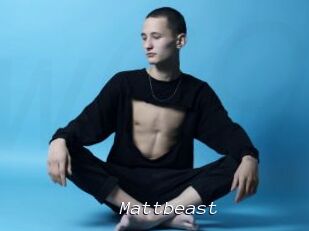 Mattbeast
