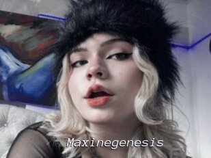 Maxinegenesis
