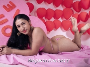 Megannfosterr