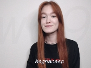 Meghanasp