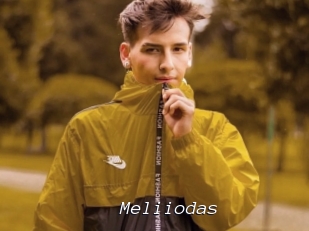 Meliiodas