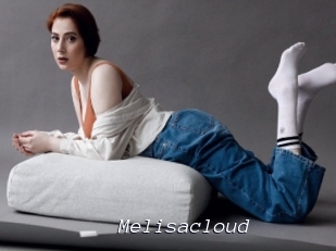 Melisacloud