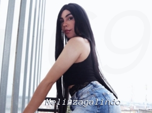 Melizzagalindo