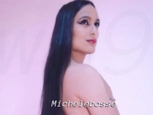 Michelebosse