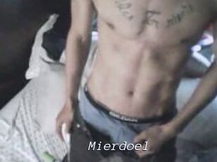 Mierdoel