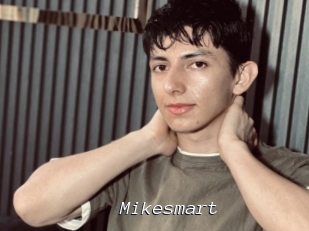 Mikesmart