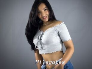 Milegates