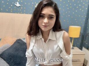 Mini_puca