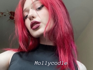 Mollycodle