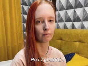 Mollyrabbit