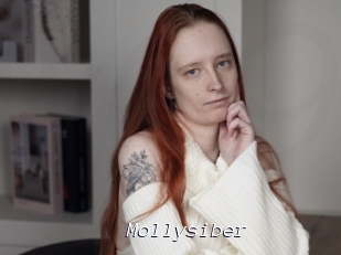 Mollysiber