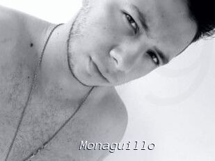 Monaguillo