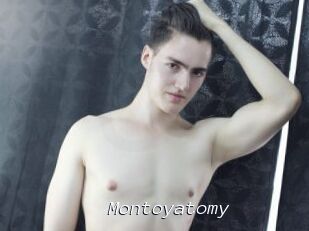 Montoyatomy